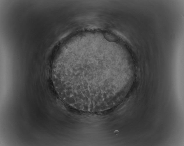 X0000084581207200703231836