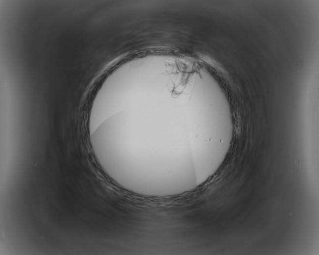 X0000084581208200703231836