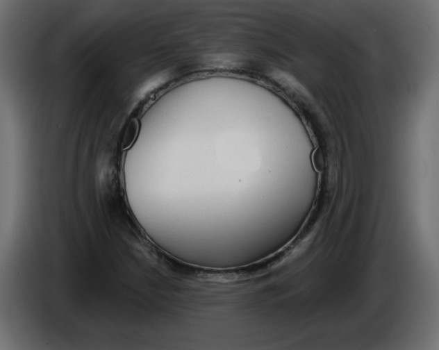 X0000084581210200703231836