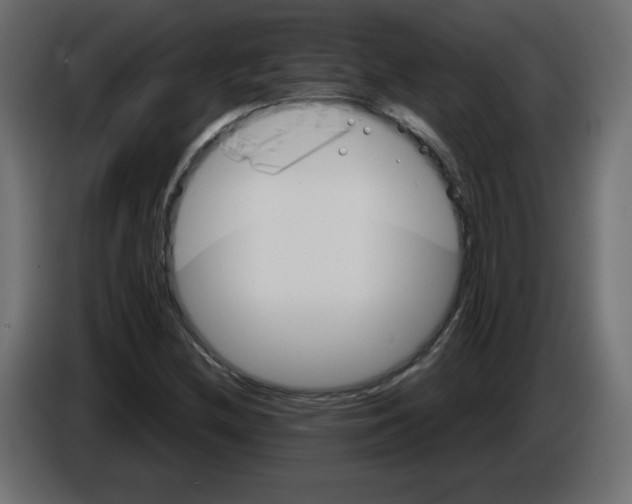 X0000084581212200703231836