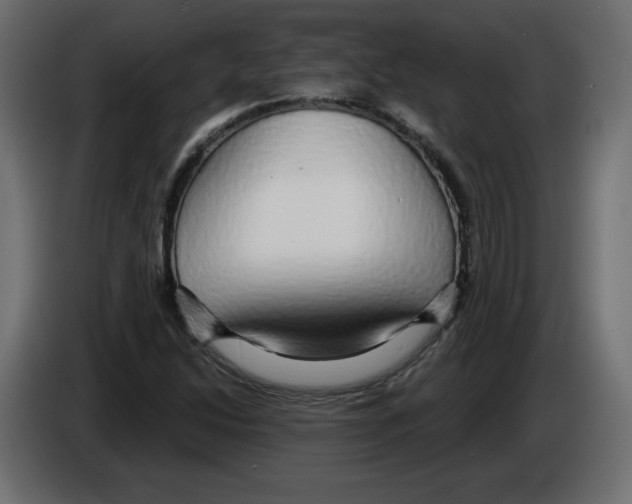 X0000084581214200703231836