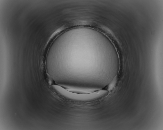 X0000084581218200703231836