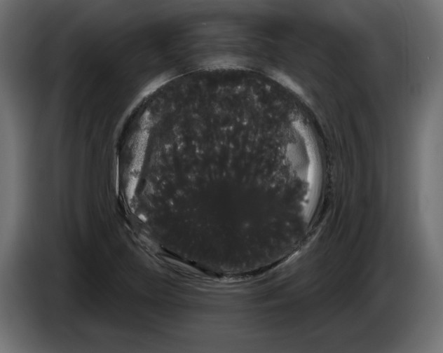 X0000084581219200703231836