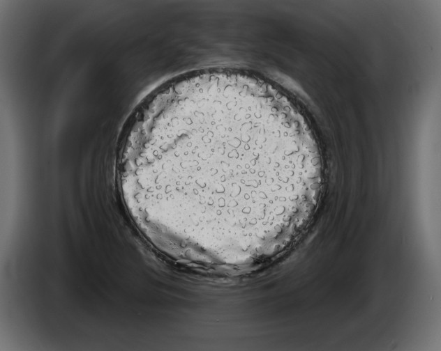 X0000084581220200703231836