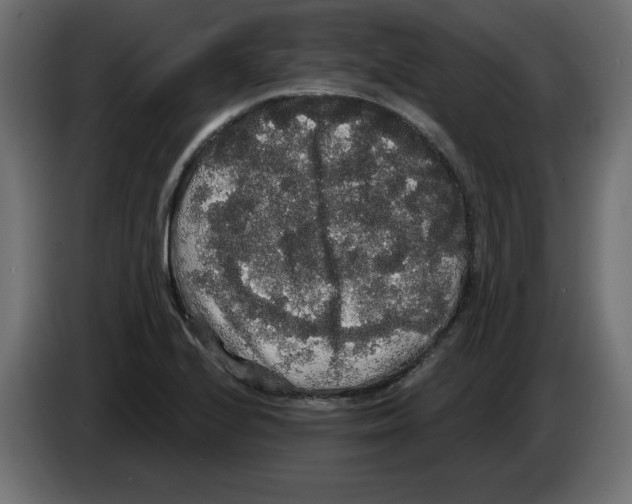 X0000084581224200703231836