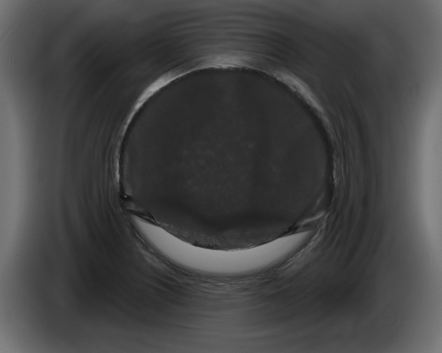 X0000084581226200703231836