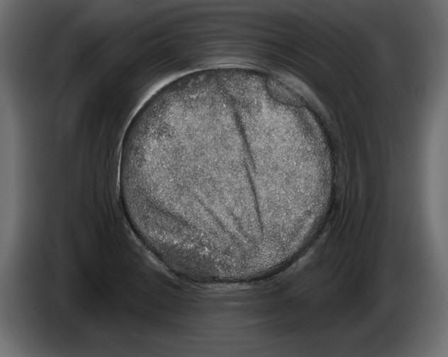 X0000084581228200703231836