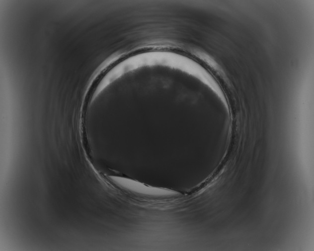 X0000084581229200703231836