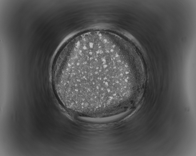 X0000084581232200703231836