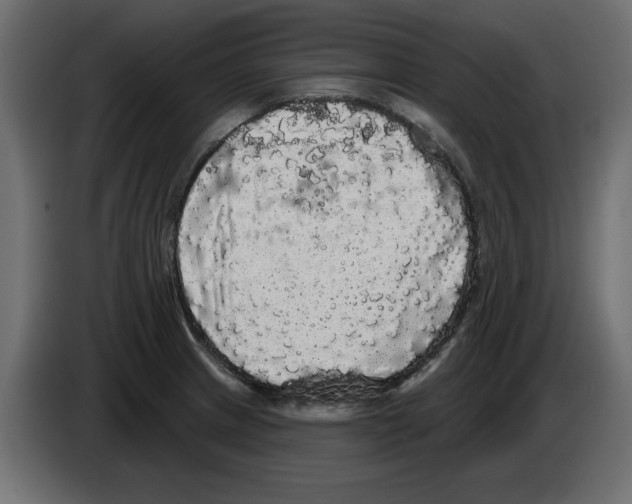 X0000084581233200703231836