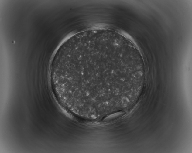 X0000084581235200703231836