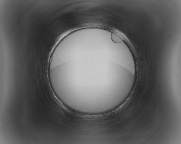 X0000084581236200703231836