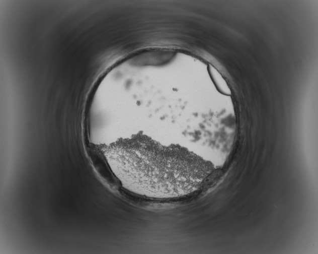 X0000084581237200703231836