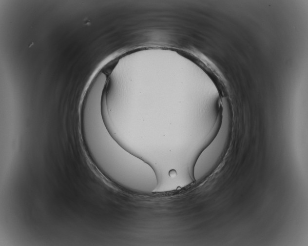 X0000084581238200703231836