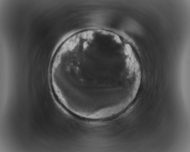 X0000084581239200703231836