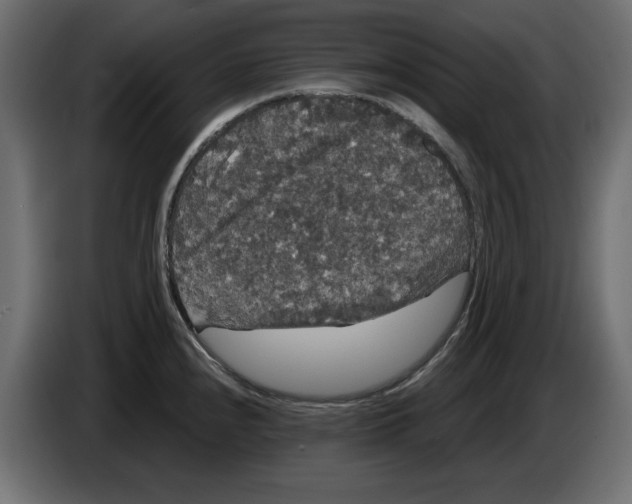 X0000084581240200703231836