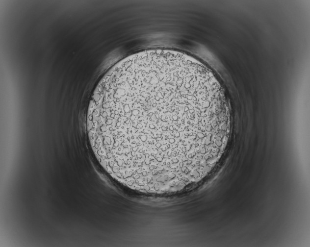 X0000084581241200703231836