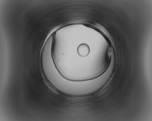 X0000084581242200703231836