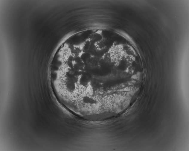 X0000084581243200703231836
