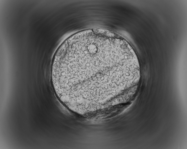 X0000084581244200703231836