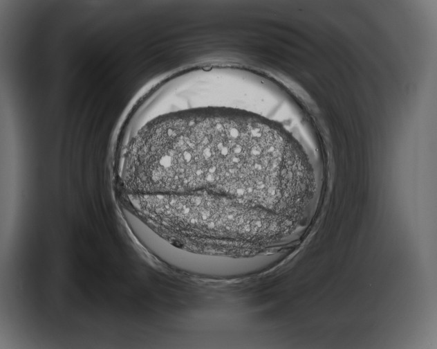 X0000084581248200703231836