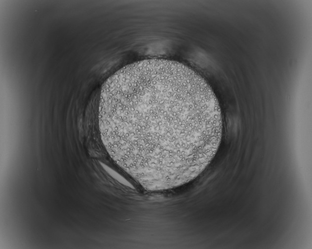 X0000084581250200703231835