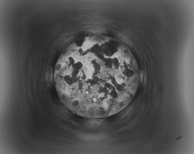 X0000084581251200703231835