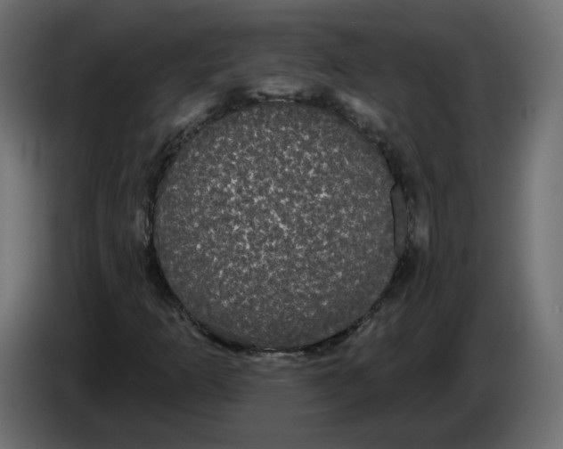 X0000084581253200703231835