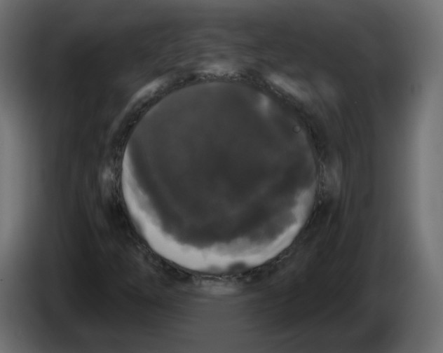 X0000084581254200703231835