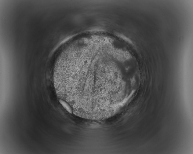 X0000084581255200703231835