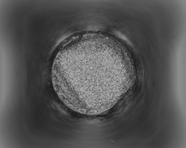 X0000084581256200703231835