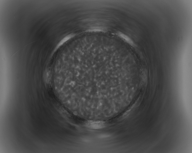 X0000084581258200703231835