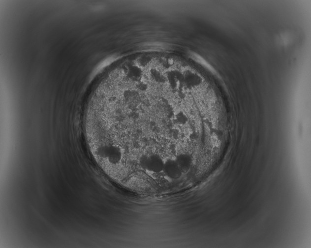 X0000084581259200703231835
