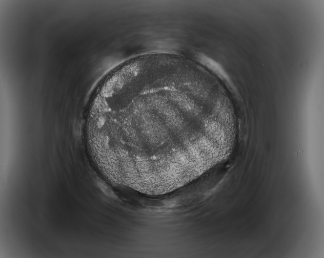 X0000084581260200703231835