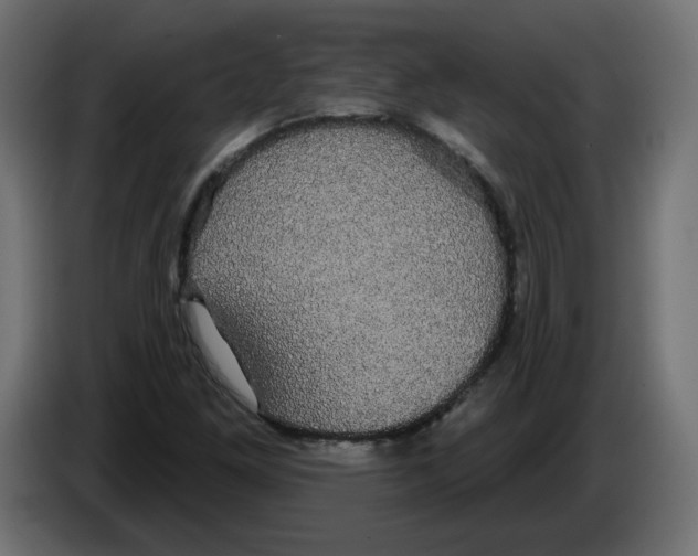 X0000084581261200703231835