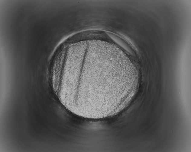 X0000084581264200703231835