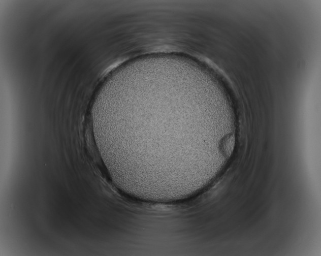 X0000084581265200703231835