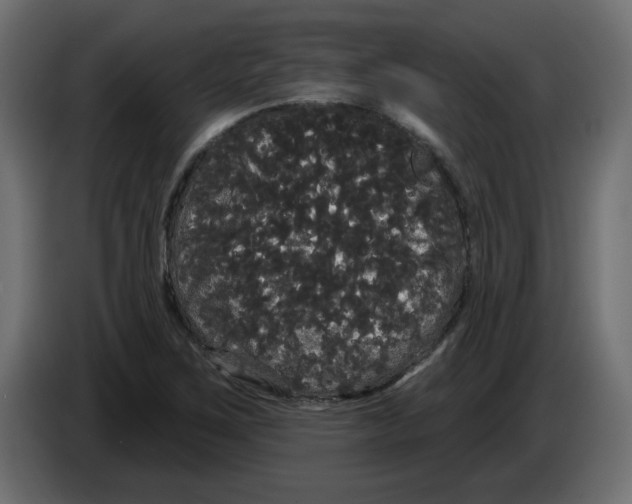 X0000084581267200703231835