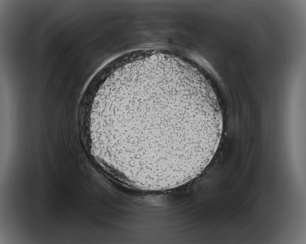 X0000084581268200703231835