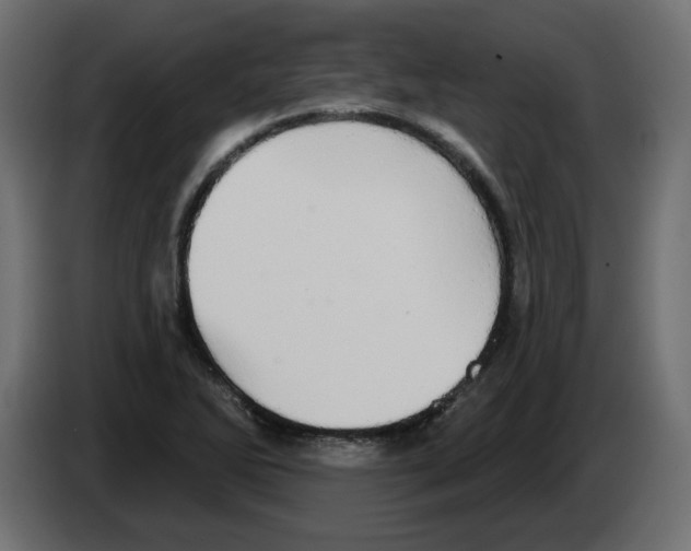X0000084581270200703231835