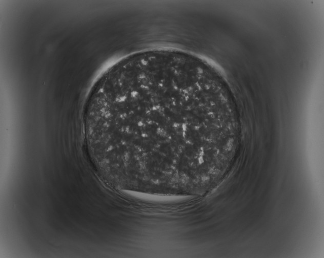 X0000084581271200703231835