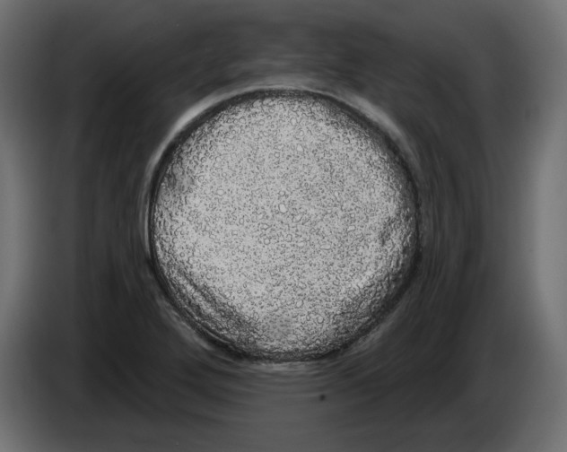 X0000084581272200703231835