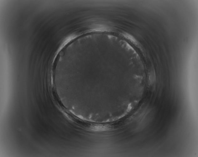 X0000084581274200703231835