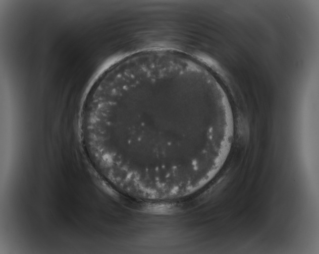 X0000084581278200703231835