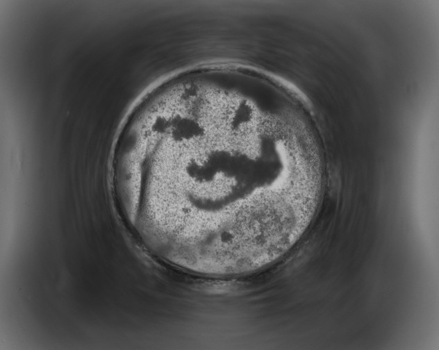 X0000084581279200703231835