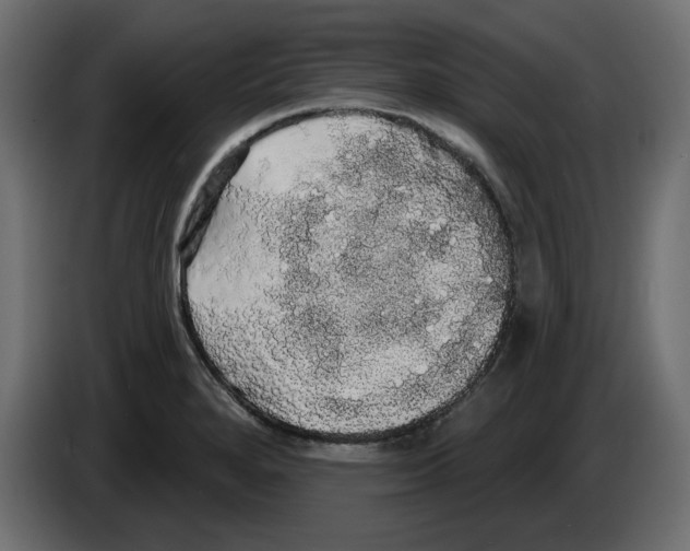 X0000084581280200703231835
