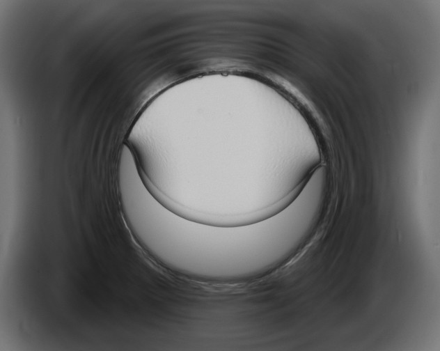 X0000084581281200703231835