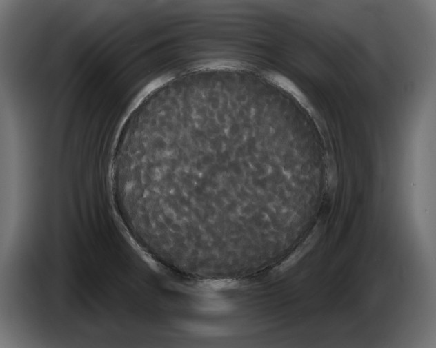 X0000084581282200703231835