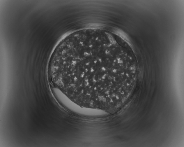 X0000084581283200703231835