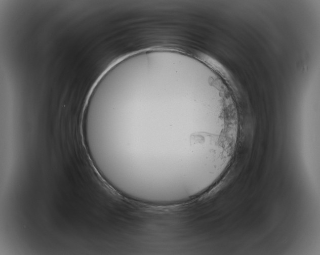 X0000084581284200703231835